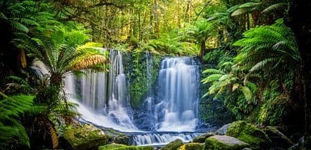 Locum in Tasmania
