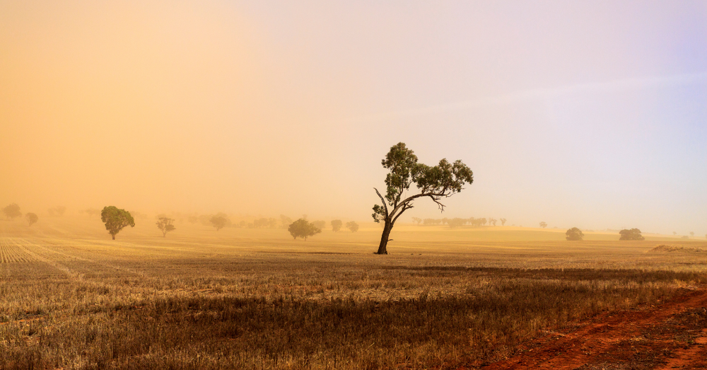 Rural doctor jobs