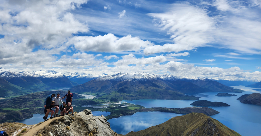 IMGs in New Zealand