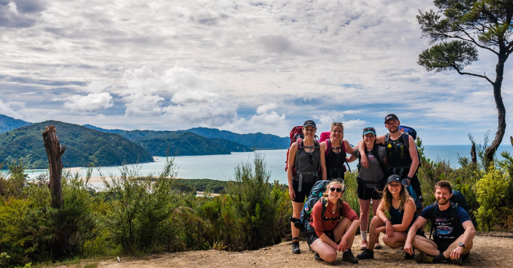 IMG doctor in NZ